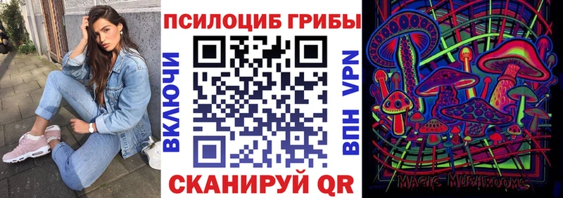 Купить  Салехард  Галлюциногенные грибы прущие грибы 